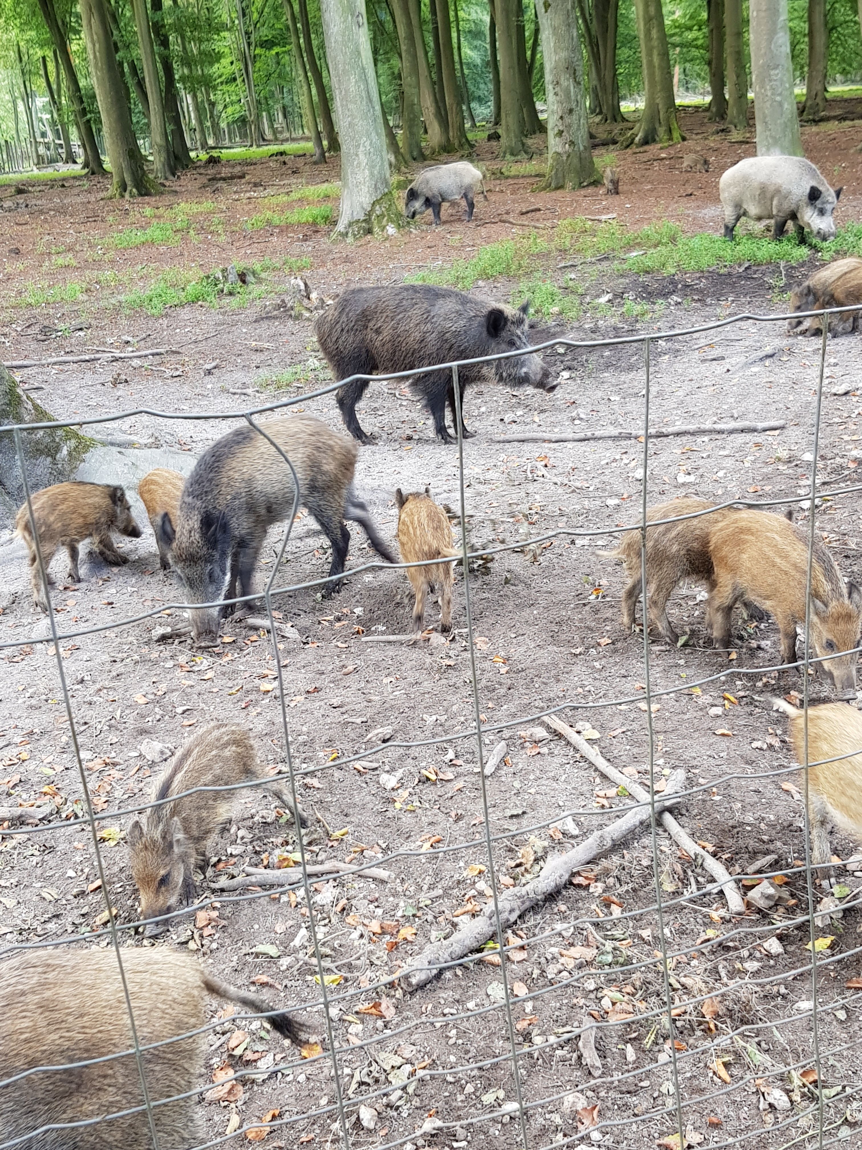 Photo n° 3 de l'avis de Martine.R fait le 21/08/2018 à 17:38