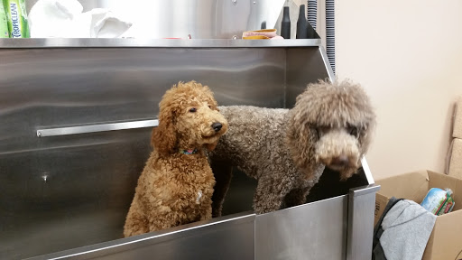 Pet Supply Store «Lemos Feed & Pet Supply», reviews and photos, 1320 Main St, Morro Bay, CA 93442, USA