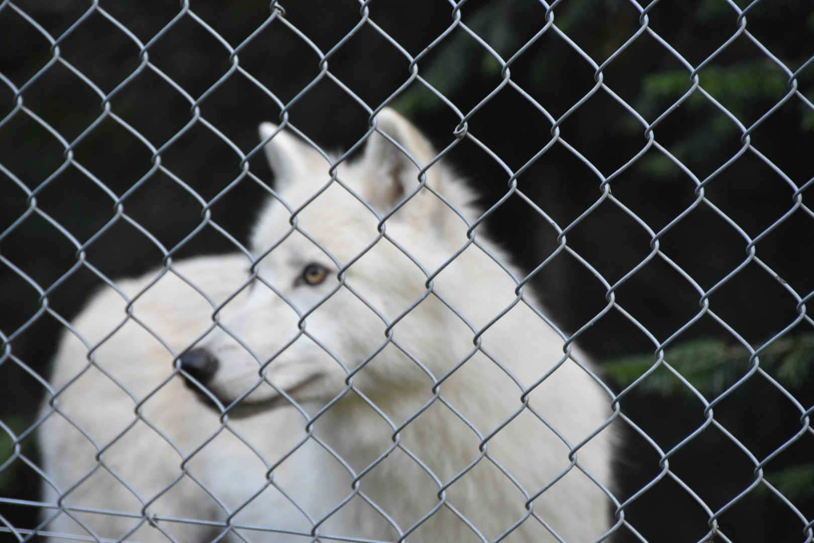 Photo n° 4 de l'avis de Hervé.i fait le 25/08/2020 à 12:08