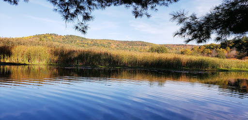 Environmental Organization «VINS Nature Center», reviews and photos, 6565 Woodstock Rd, Quechee, VT 05059, USA