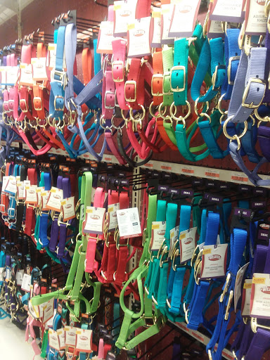 Department Store «Mills Fleet Farm», reviews and photos, 3875 SE Delaware Ave, Ankeny, IA 50021, USA