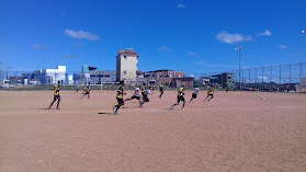 Campo Do Irecê