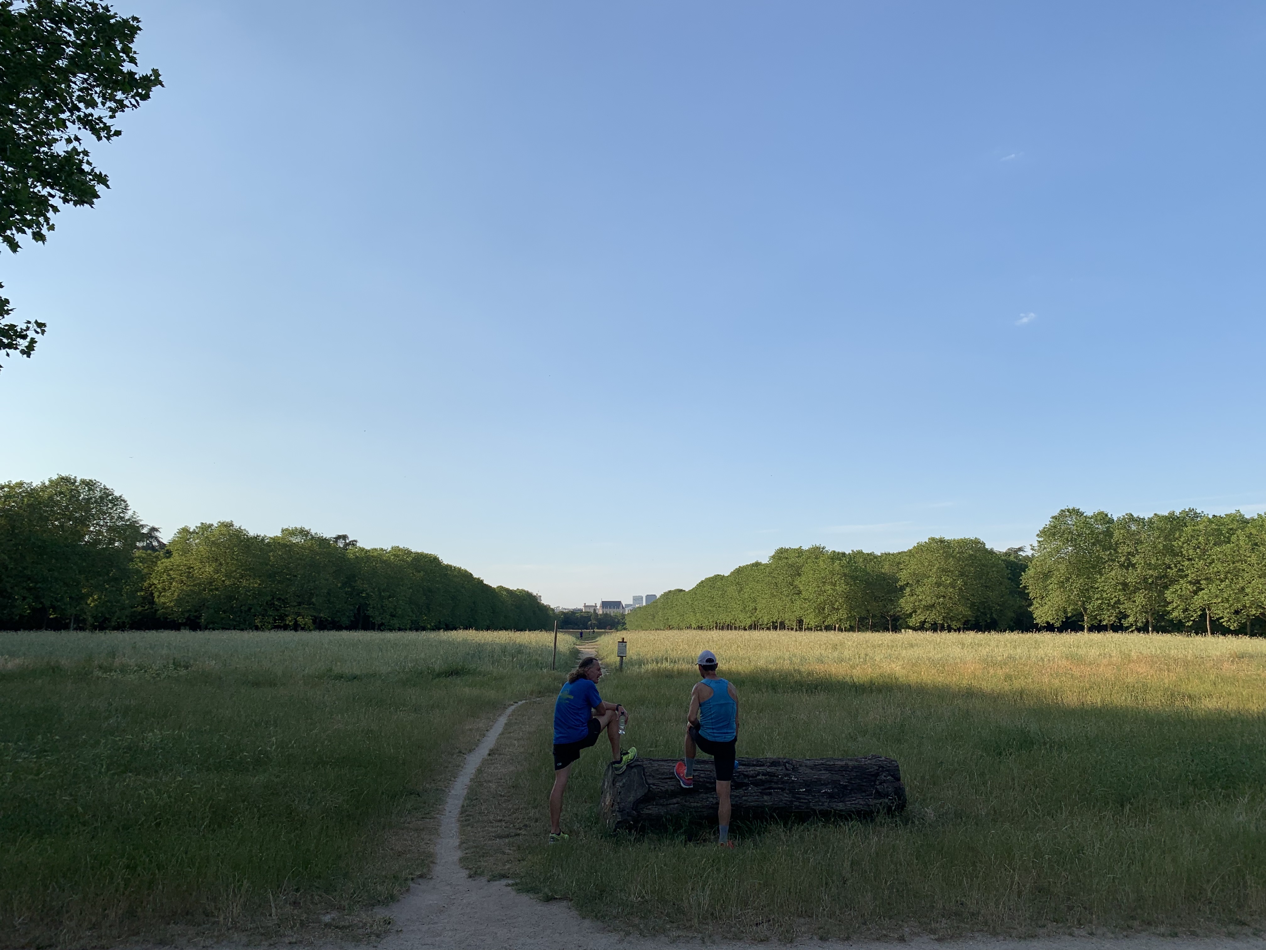 Photo n° 2 de l'avis de youssef.b fait le 29/07/2023 à 23:07