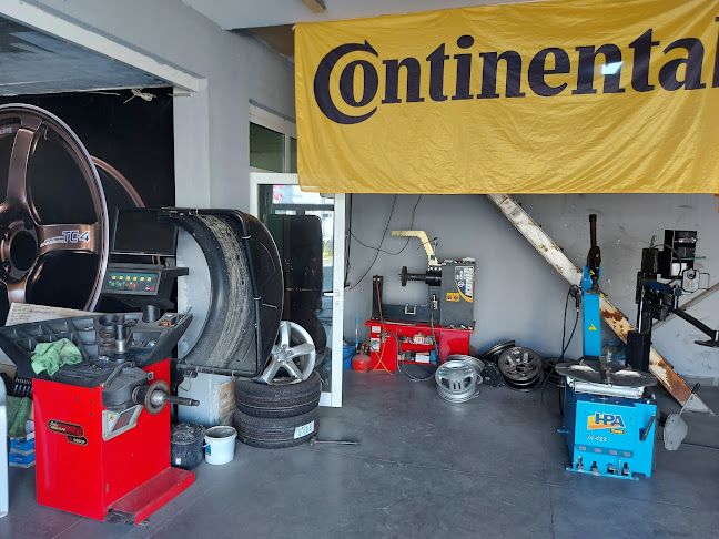 Comentarii opinii despre ГУМИ "ЕМ ЕС-2021" Стара Загора