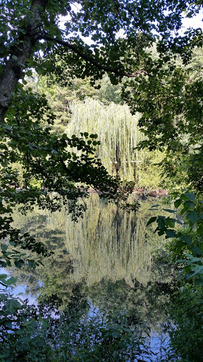 Park «Bronx River Park», reviews and photos, 2 Bronx River Pkwy, Scarsdale, NY 10583, USA