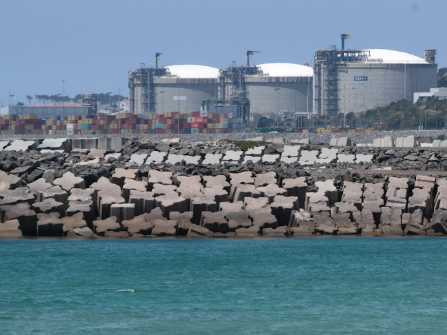 Ren Atlântico, Terminal De Gnl, S.A