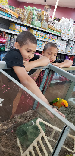 Pet Store «Petland», reviews and photos, 1600 Turner McCall Blvd, Rome, GA 30161, USA