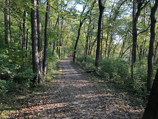 MKT Trail – Forum Katy Parkway Connector Access