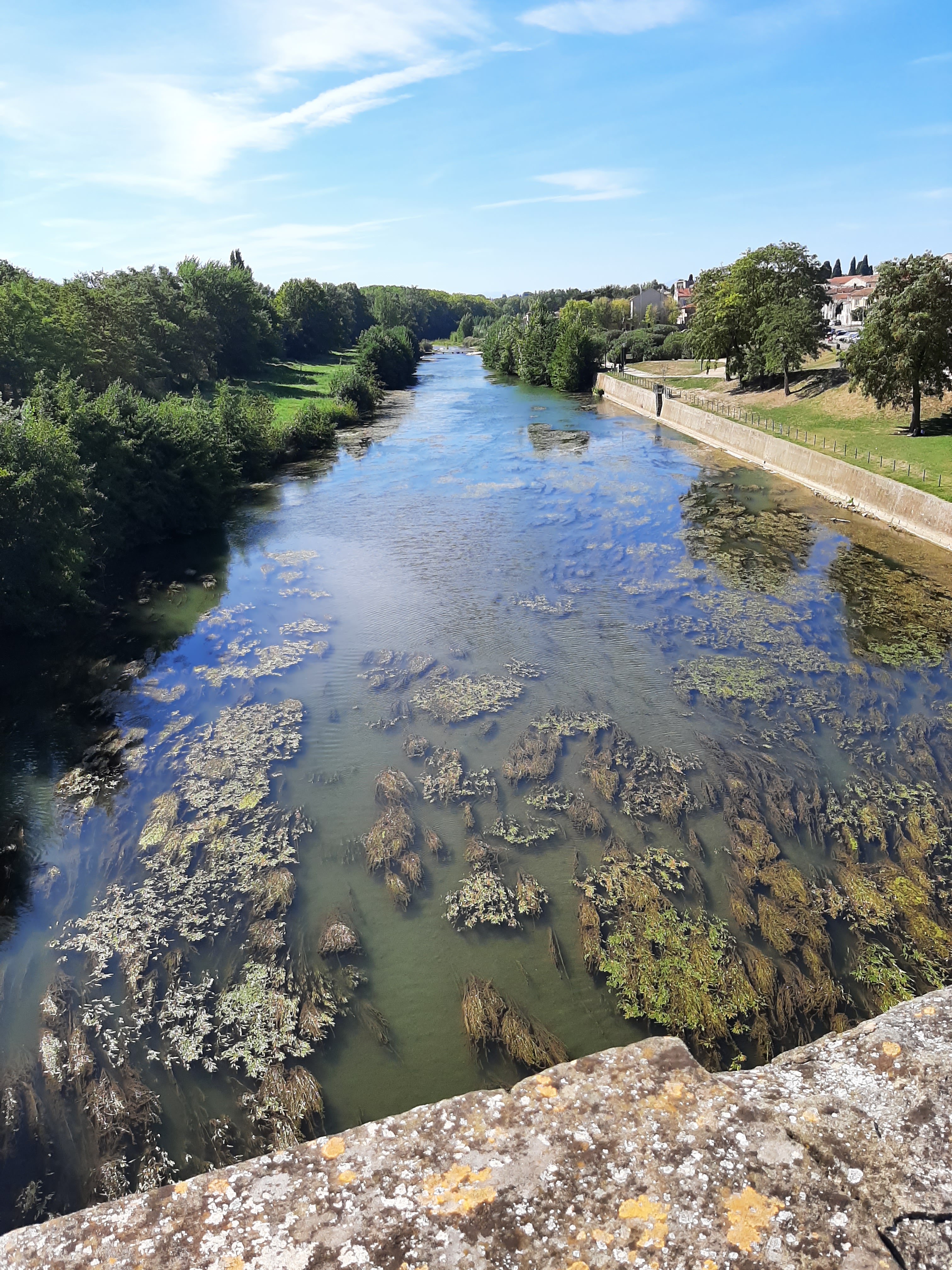 Photo n° 2 de l'avis de Irene.r fait le 23/10/2023 à 18:58