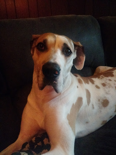 Explore colored tattoo sleeve ideas, creative tattoo ideas in Black River Falls, available at Black River Tattoo