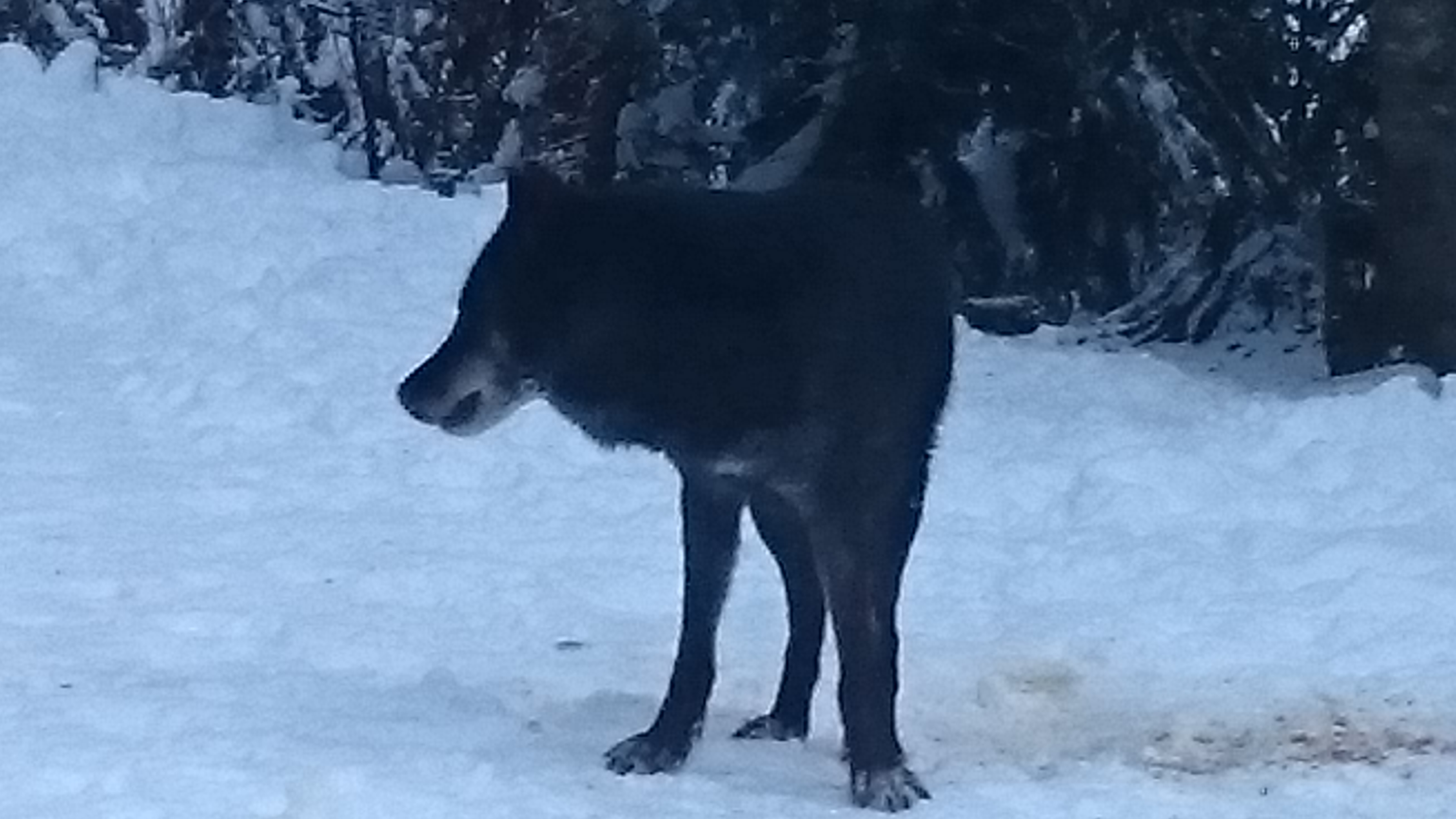 Photo n° 1 de l'avis de M.l fait le 28/01/2018 à 03:36