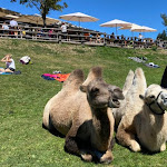 Photo n°4 de l'avis de Anic.a fait le 26/08/2022 à 06:02 sur le  Tuffalm à Völs am Schlern