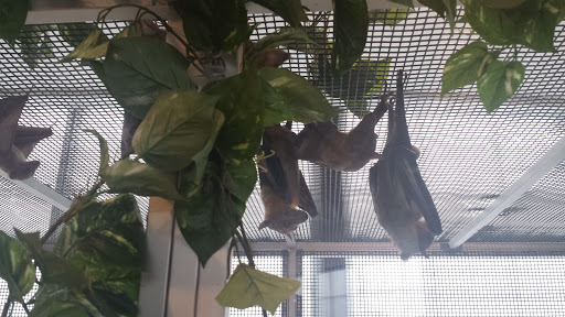 Botanical Garden «Mitchell Park Horticultural Conservatory», reviews and photos, 524 S Layton Blvd, Milwaukee, WI 53215, USA