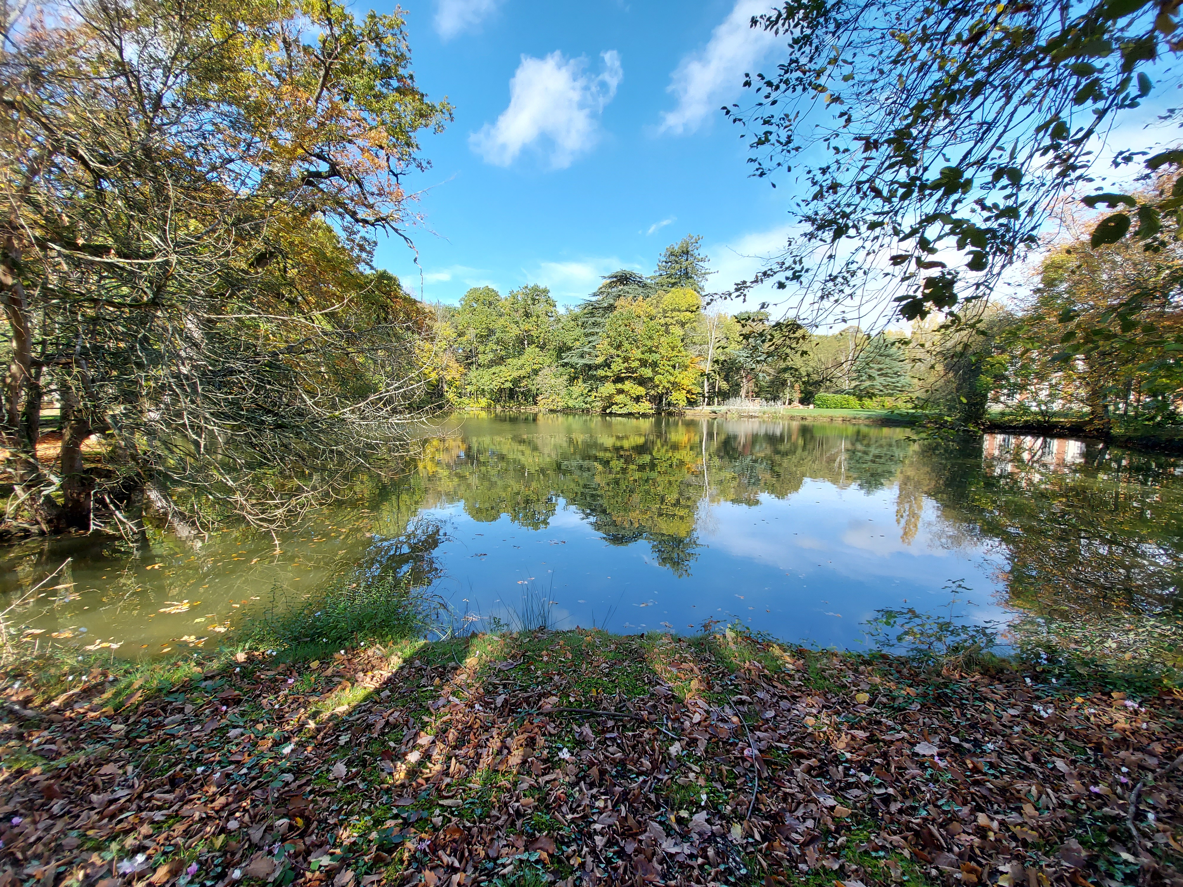 Photo n° 5 de l'avis de ha.a fait le 29/11/2020 à 13:23