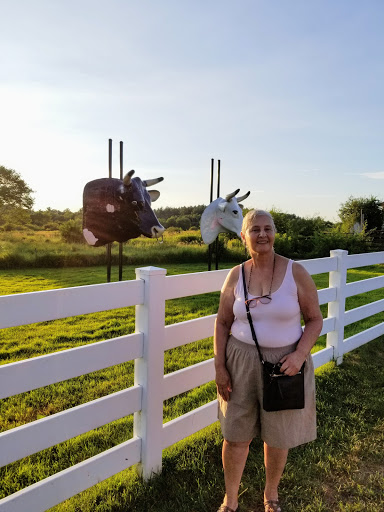 Fabric Store «Jo-Ann Fabrics and Crafts», reviews and photos, 200 Westgate Dr, Brockton, MA 02301, USA