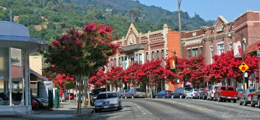 Real Estate Agents «BOYENGA TEAM - Silicon Valley Real Estate», reviews and photos, 16185 Los Gatos Blvd #210, Los Gatos, CA 95032, USA