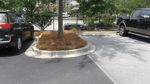 Insurance Agency «AAA - Irmo», reviews and photos