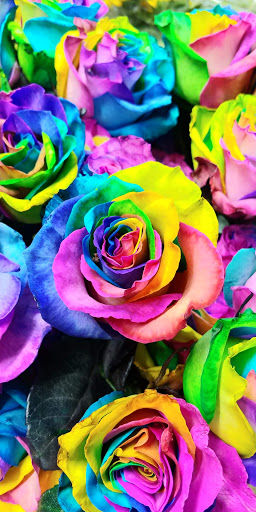 Florist «Garden Fantasy on Main», reviews and photos, 210 Main St, Belleville, MI 48111, USA