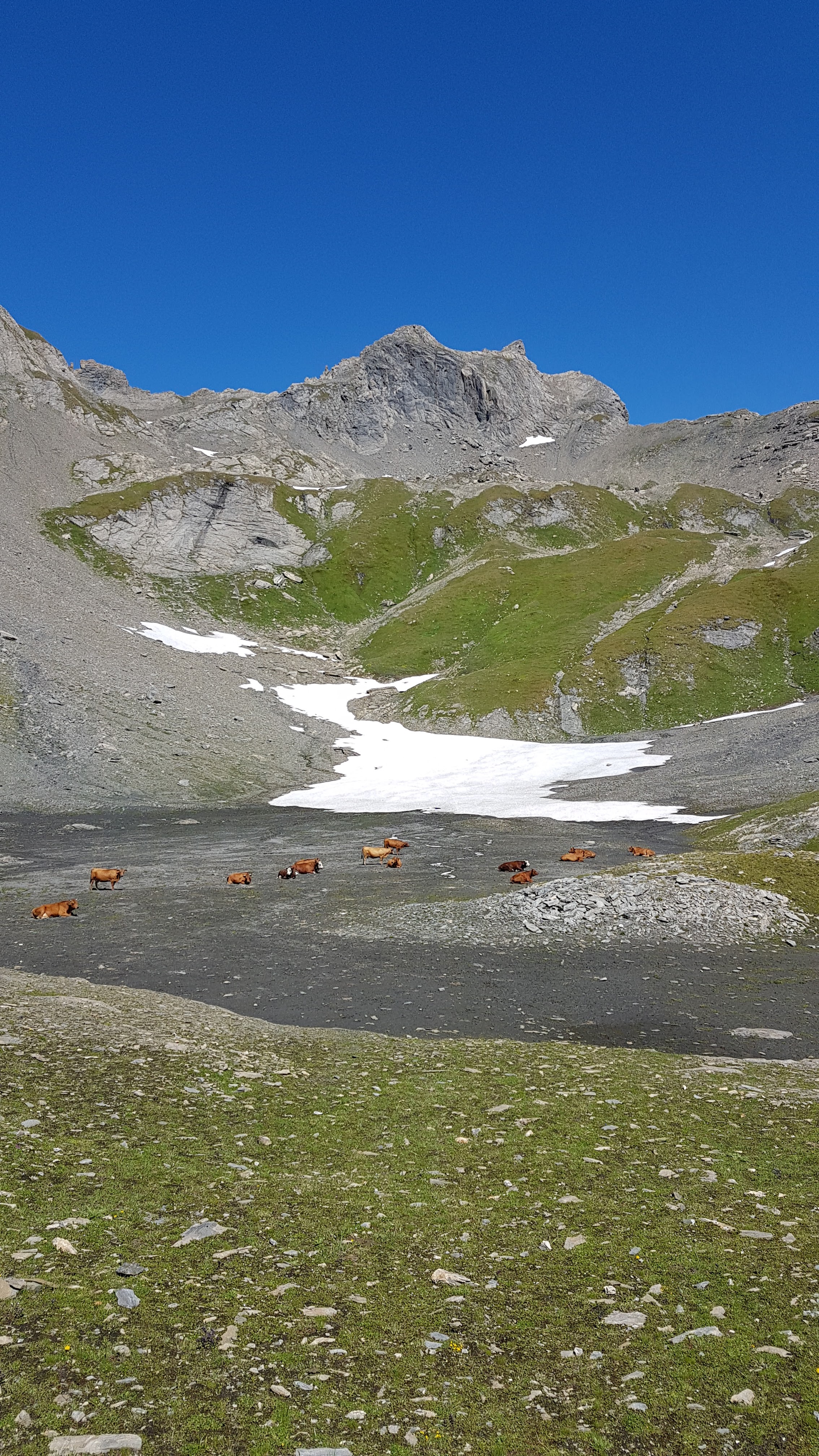 Photo n° 2 de l'avis de Thierry.E fait le 22/03/2019 à 07:39