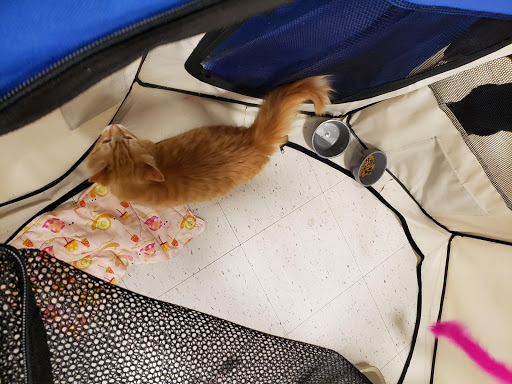 Pet Supply Store «PetSmart», reviews and photos, 5640 Cedar Lake Rd, Minneapolis, MN 55416, USA