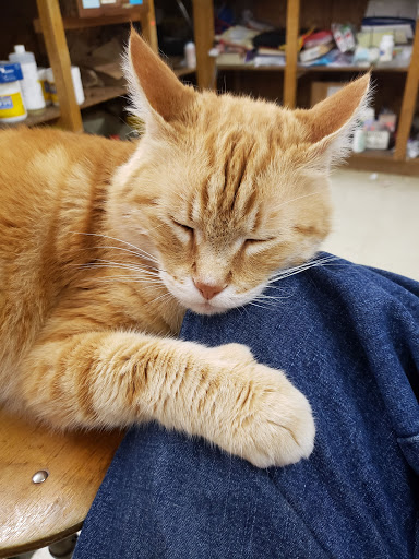 Pet Supply Store «Halbert Veterinary & Pet Supply», reviews and photos, 2675 M.L.K. Jr Blvd, Fayetteville, AR 72701, USA