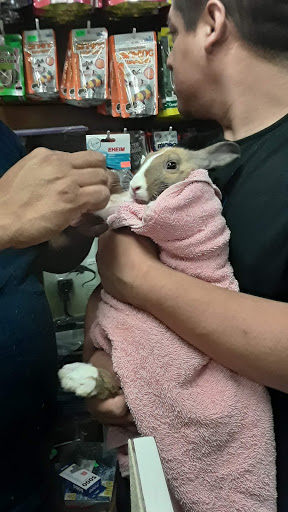 Pet Store «Pet Source 1901», reviews and photos, 1901 W 8th St B, Los Angeles, CA 90057, USA