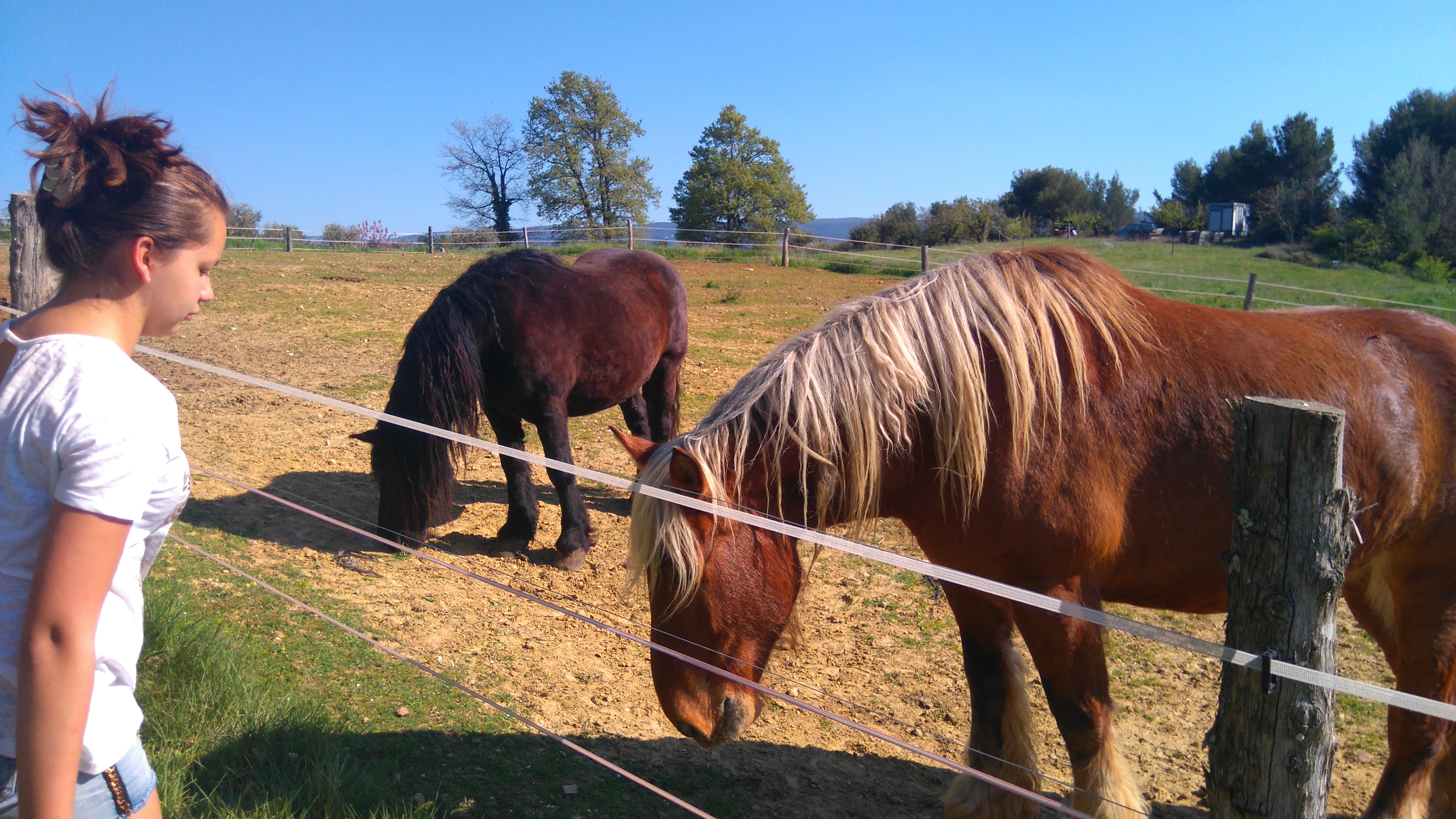 Photo n° 3 de l'avis de Cerise. fait le 04/10/2019 à 12:14