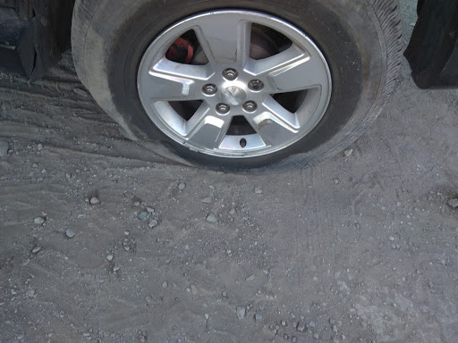 Auto Auction «IAA-Insurance Auto Auction», reviews and photos