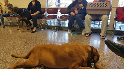 Shively Animal Clinic & Hospital image