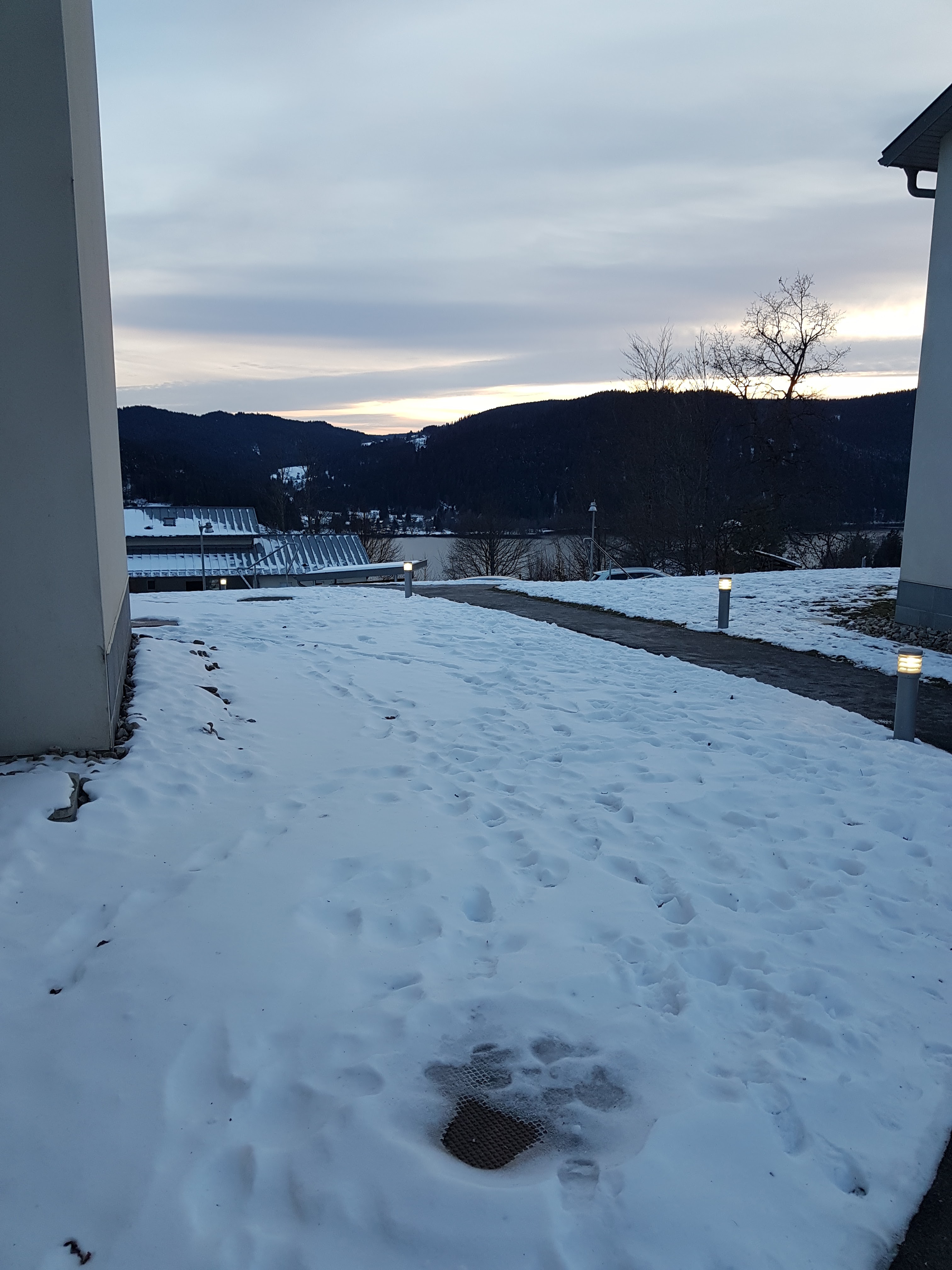 Photo n° 4 de l'avis de Souazig.e fait le 15/02/2021 à 21:24