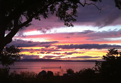 Flat Fee Real Estate