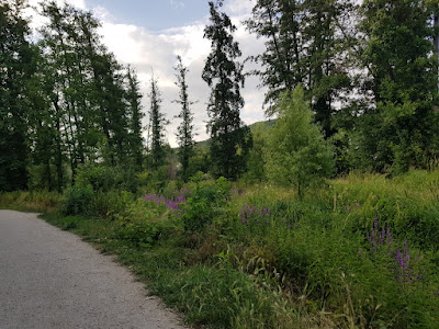 Promenade de la Bièvre à Verrières-le-Buisson