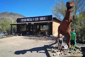 Tucson Mineral and Gem World image