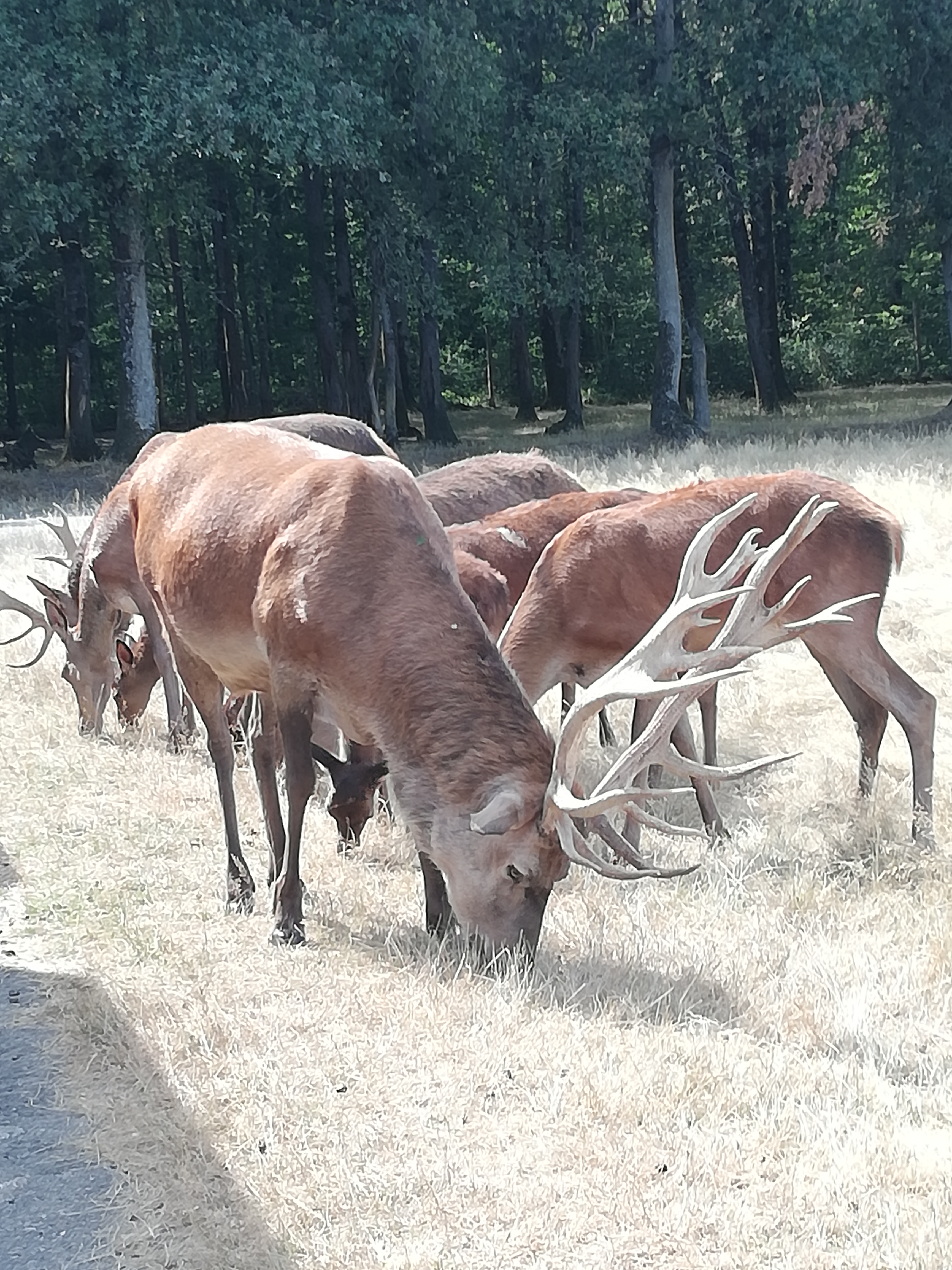 Photo n° 13 de l'avis de Severine.e fait le 23/08/2019 à 23:18