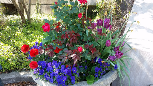 History Museum «Kaminski House Museum», reviews and photos, 1003 Front St, Georgetown, SC 29440, USA