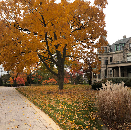 Museum «Elmhurst History Museum», reviews and photos, 120 E Park Ave, Elmhurst, IL 60126, USA