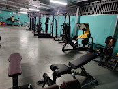 New life gym