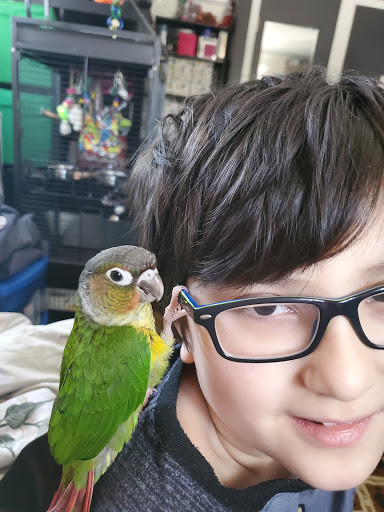 Pet Store «Discount Pet & Supplies», reviews and photos, 16320 Middlebelt Rd, Livonia, MI 48154, USA