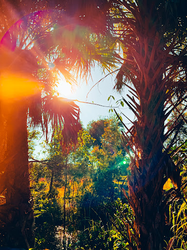 Nature Preserve «Chapel Trail Nature Preserve», reviews and photos, 19800 Sheridan St, Fort Lauderdale, FL 33332, USA