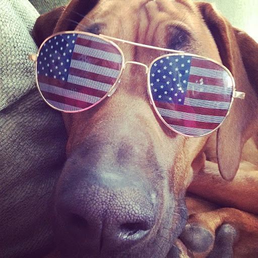 Print Shop «NHS Print», reviews and photos, 333 East Central Street #1, Franklin, MA 02038, USA