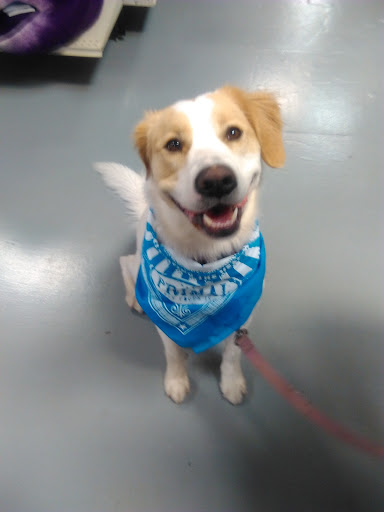 Pet Supply Store «Nashville Pet Products», reviews and photos, 2621 Cruzen St, Nashville, TN 37211, USA