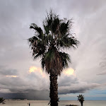 Photo n° 4 de l'avis de Manuel.a fait le 22/09/2020 à 23:32 pour Les Saveurs de Thau à Mèze