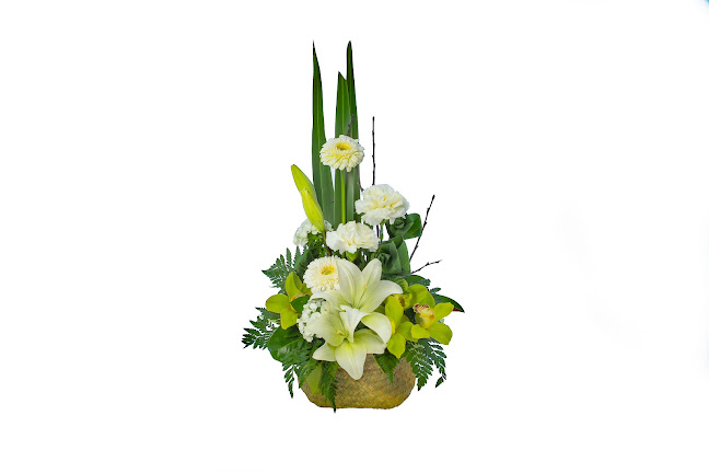 Comments and reviews of Mayflower Studio Florist