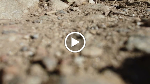 Tourist Attraction «Rainbow Pools», reviews and photos, CA-120, Groveland, CA 95321, USA