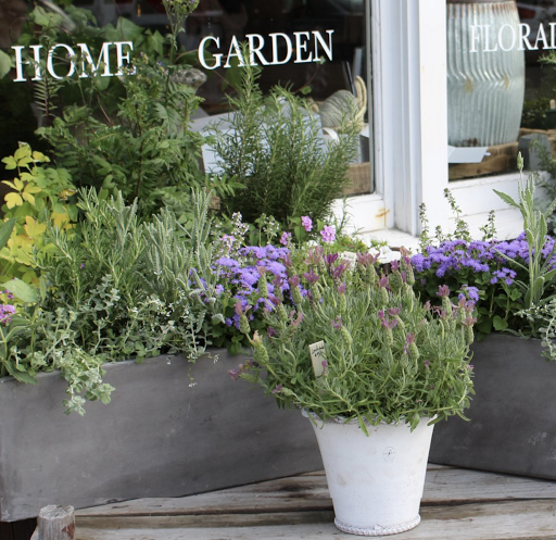 Florist «Les Fleurs», reviews and photos, 27 Barnard St, Andover, MA 01810, USA