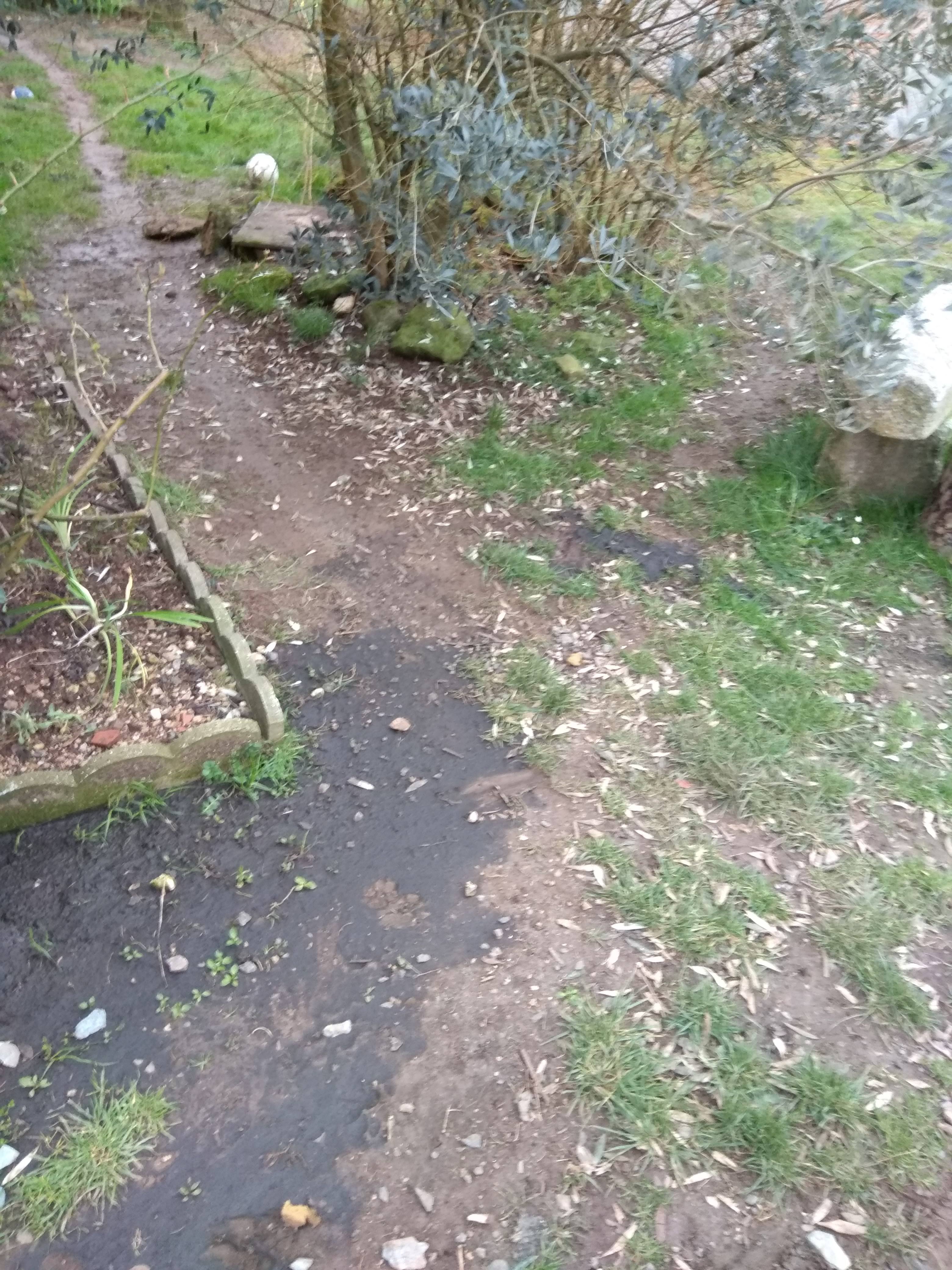 Photo n° 1 de l'avis de fark.i fait le 17/07/2019 à 06:35