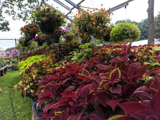 Greenhouse «Stony Hill Gardens», reviews and photos, 8 NJ-24, Chester, NJ 07930, USA