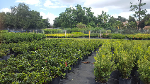 Hibernia Nursery Landscape Supply and Garden Center