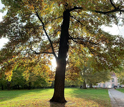 Schönhausen Palace photo