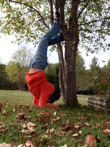 Resort «Whiteface Club & Resort», reviews and photos, 373 Whiteface Inn Ln, Lake Placid, NY 12946, USA